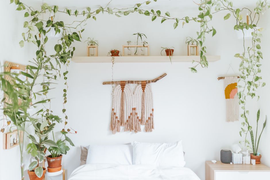 Groene hangplanten voor een verhoogd plafond.
