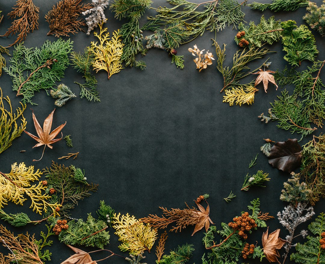 Herfstkleuren in duurzame wandbekleding, gevarieerde texturen. Herfstkleuren in duurzame wandbekleding, gevarieerde texturen.
